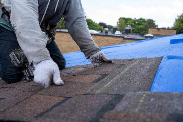 Roof Installation Near Me in Colfax, WA