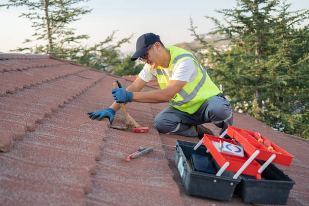 Roof Gutter Cleaning in Colfax, WA